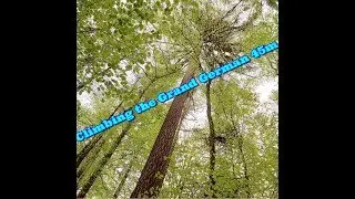 The Grand German T5 Climbing Geocaching