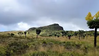 RHINO HILL | Aberdare Range
