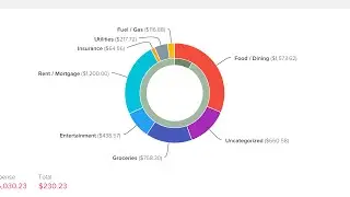 Hide a category on the 'Earning & spending' chart
