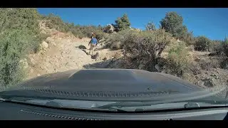 2N70Y Sidewinder Canyon