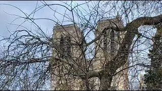 walking in the streets of Paris Notre dame de Paris 