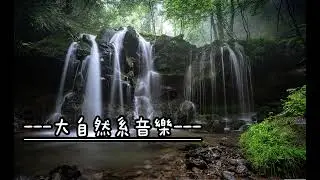 【無廣告】瀑布森林：水聲/鳥鳴/蟋蟀聲｜睡眠冥想與專注 [No Ads] Waterfall Forest: Nature Sounds for Sleep & Study