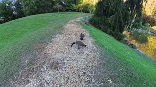 fresh air therapy 