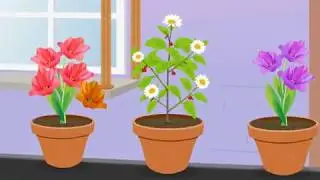 Structure and Functions of Stems | Macmillan Education India