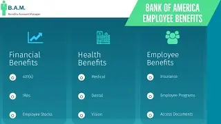 Bank of America Employee Benefits | Benefit Overview Summary