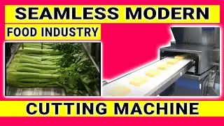 Seamless Modern Food Industry Cutting Machine