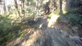 Miami Trails