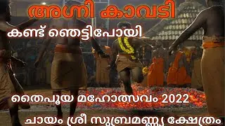 AGNI KAVADI Malayalam വിതുര ചായം ശ്രീ സുബ്രമണ്യസ്വമിക്ഷേത്രം അഗ്നി കാവടി #trending