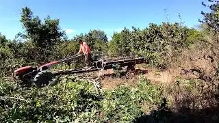 M315, Kubota ZT140 Clearing Overgrown Land in One Day