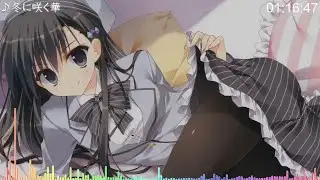 【彼女のセイイキ - OP】冬に咲く華
