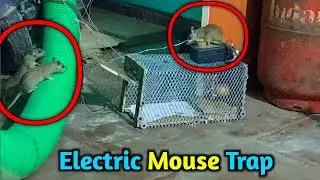 चूहों के लिए आटोमेटिक पिंजरा 🐁 | Electric mouse trap | rat trap homemade | how to make mouse trap