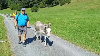 20250818 110814 Eseltrekking vom Br&uuml;nigpass nach Hasliberg Reuti