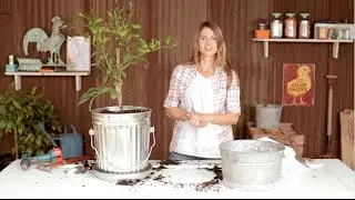 How to Make a Trash Can Planter | Container Gardening with Emily Murphy