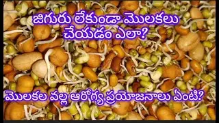sprouts /weight loss / high protein breakfast / healthy breakfast / mixed sprouts.