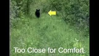 I encountered a BEAR on this trail! (Aerial Tour)