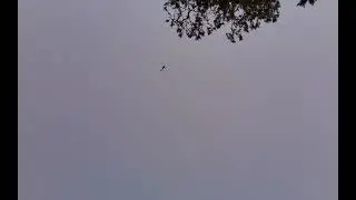 the Phoenix police helicopter was circling my house