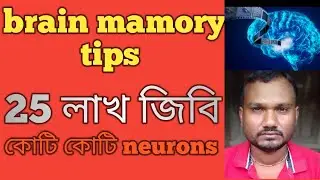 brain memory increase tips.how to increasing your brain memory.