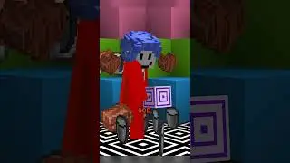Minecraft's MOST Popular servers...