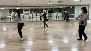 Why 為什麼 ( 背面  )( 以 Israeli Line ) Choreographer : Dudu Barzilay 新竹體委會傳統土風舞班 20260106