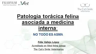 WEBINAR_Patología Torácica Felina asociada a la Medicina Interna