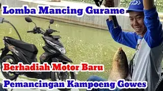 LOMBA MANCING GURAME HADIAH MOTOR BARU | BONGKAR RAHASIA UMPAN GURAME PALING JITU