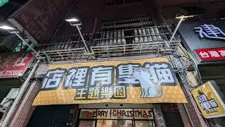 「店裡有隻貓」正在直播！