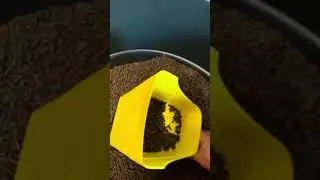 Come Feed Horses with Me! 