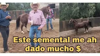 Descendencia y linaje del pandito aquí con Don Gonzalo Bañuelos 🥰🐎😍🏜️