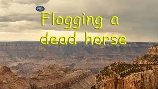 Flogging a dead horse | American Idiom