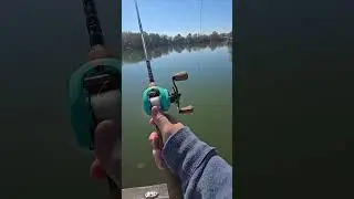 13 fishing concept TX2 review. (6:8:1 ratio)