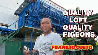 BIG TIME FANCIER NG CANDELARIA QUEZON PART 2
