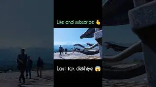 Tentacle Alien Ko Pakadne Ka Deewana Plan 😱⚡ Explained Hindi. #shorts #foryou #movie