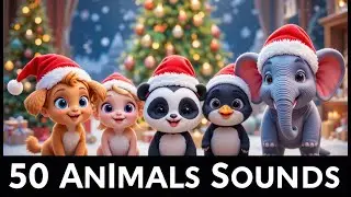 🐦🐶 Christmas Special Animals Sounds | Kids Fun & Learning Video | #AnimalSounds #KidsLearning