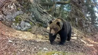 Jar medzi skalami 2023 (Fotopasca Veľk&aacute; Fatra)