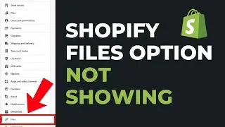 Shopify Files Option Not Present in Settings (Fixed) - Image Media Library Not Showing in Store