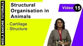 Structural Organisation in Animals | NEET | Cartilage - Structure | Neela Bakore Tutorials