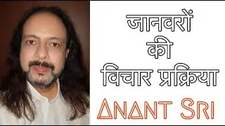 जानवरों की विचार प्रक्रिया - Thought process in animals - Anant Sri