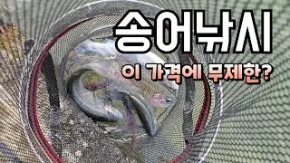 송어낚시터? 이 가격에 무제한 잡이라구요??  송어는 빠글빠글!! /설악 낚시터 /인기 송어낚시터
