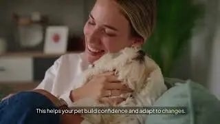 Connecting with Animals Navigating Challenges in the Human-Animal Bond