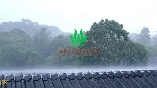 Heavy rain, storm, and thunder make people fall asleep immediately | Goodbye insomnia | Cure ASMR