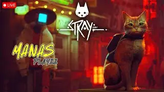 SLUMS TO MIDTOWN THIS IS BUSINESS ! Stray Part 3 | ManasPlayzz