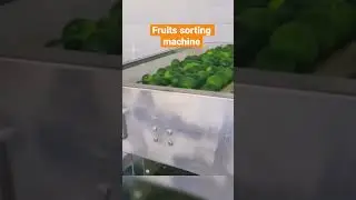 All kinds of Fruits cleaning and sorting machine are customized by Pengo machinery