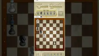 Chess Battle 10092302 #chessbattle