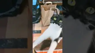 Помешанные на пластиковых стяжках!!