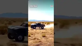 The Wild Race
