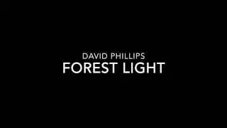 Forest Light - The Music of David Phillips