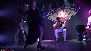 Belén López en tablao Opera Flamenca