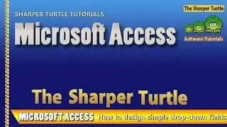 Microsoft Access - How to design simple drop-down fields