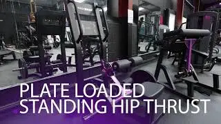 Peach Builder Plate Loaded Standing Hip Thrust (Glute Drive)