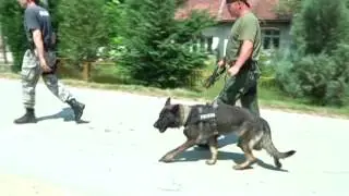 BRČKO - PRONAĐEN BRAT, ZA NJEGOVOM SESTROM SE JO&Scaron; TRAGA 22.07.2015.
